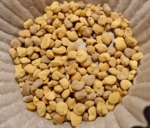 Collected honey bee pollen